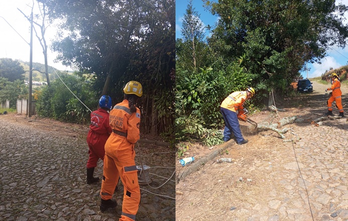 brigada-municipal-de-carandai-realiza-corte-de-arvore-com-seguranca-no-bairro-cohab